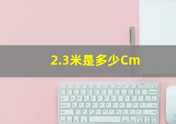 2.3米是多少Cm