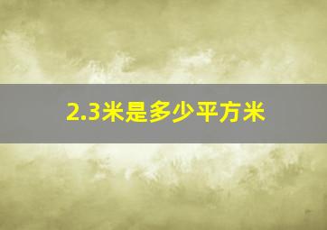 2.3米是多少平方米