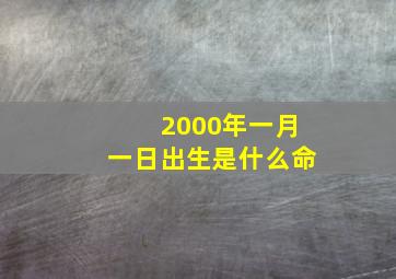 2000年一月一日出生是什么命