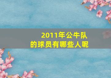 2011年公牛队的球员有哪些人呢