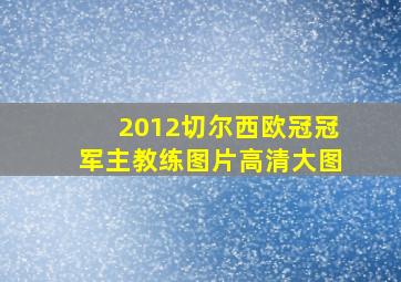 2012切尔西欧冠冠军主教练图片高清大图