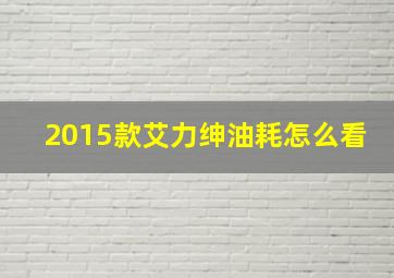 2015款艾力绅油耗怎么看