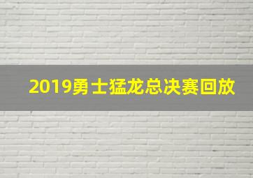 2019勇士猛龙总决赛回放