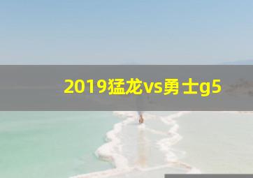 2019猛龙vs勇士g5