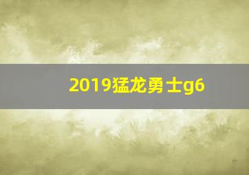 2019猛龙勇士g6