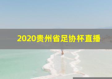 2020贵州省足协杯直播