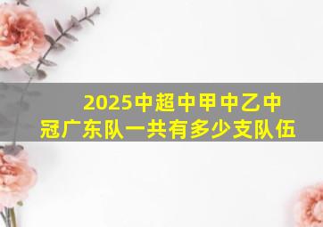 2025中超中甲中乙中冠广东队一共有多少支队伍