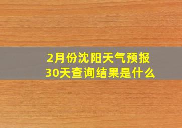 2月份沈阳天气预报30天查询结果是什么