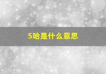 5哈是什么意思