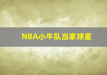 NBA小牛队当家球星