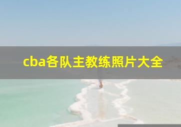 cba各队主教练照片大全