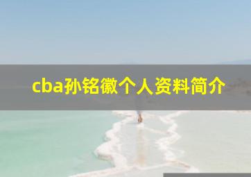 cba孙铭徽个人资料简介