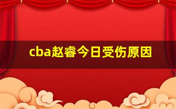 cba赵睿今日受伤原因