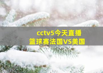 cctv5今天直播篮球赛法国VS美国