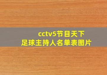 cctv5节目天下足球主持人名单表图片