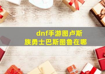 dnf手游图卢斯族勇士巴斯图鲁在哪