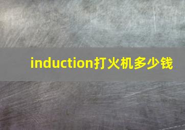 induction打火机多少钱