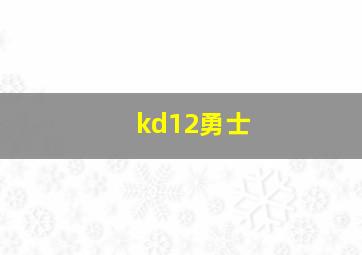 kd12勇士