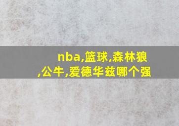 nba,篮球,森林狼,公牛,爱德华兹哪个强