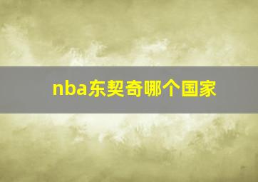 nba东契奇哪个国家