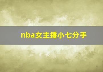 nba女主播小七分手