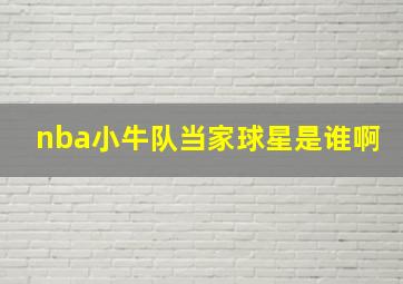 nba小牛队当家球星是谁啊