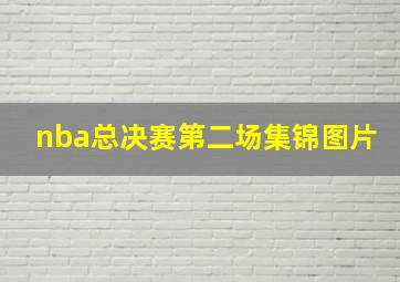 nba总决赛第二场集锦图片