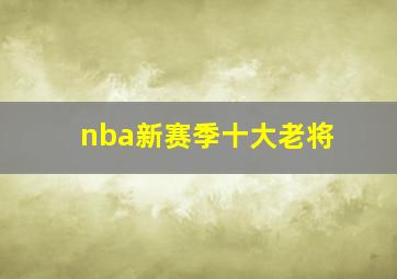 nba新赛季十大老将