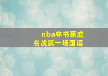 nba林书豪成名战第一场国语