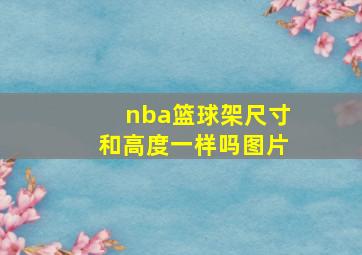 nba篮球架尺寸和高度一样吗图片