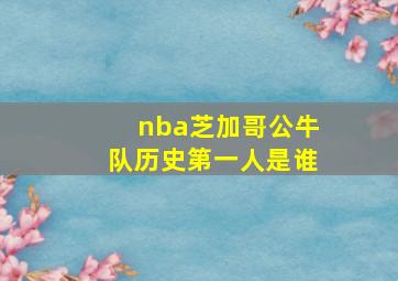 nba芝加哥公牛队历史第一人是谁