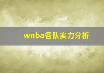 wnba各队实力分析