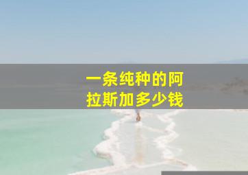 一条纯种的阿拉斯加多少钱