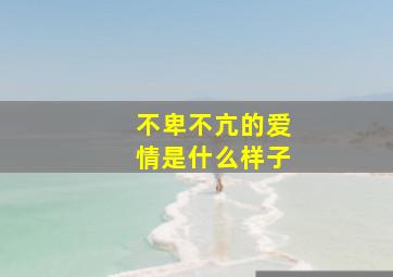 不卑不亢的爱情是什么样子