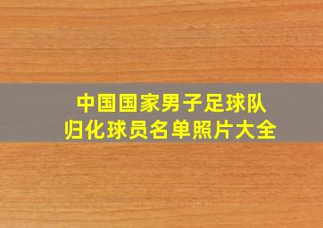 中国国家男子足球队归化球员名单照片大全