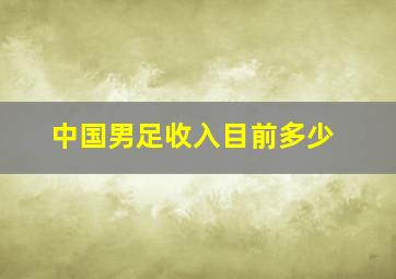 中国男足收入目前多少