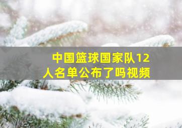 中国篮球国家队12人名单公布了吗视频