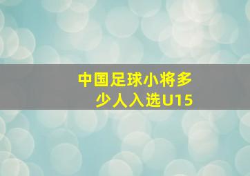 中国足球小将多少人入选U15