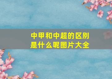 中甲和中超的区别是什么呢图片大全