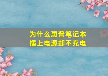 为什么惠普笔记本插上电源却不充电