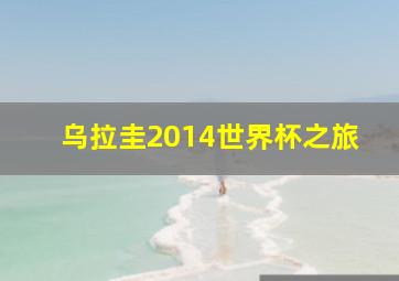 乌拉圭2014世界杯之旅