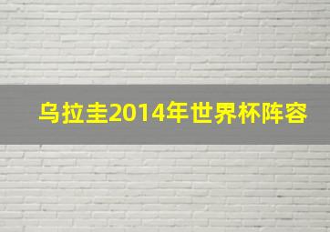 乌拉圭2014年世界杯阵容