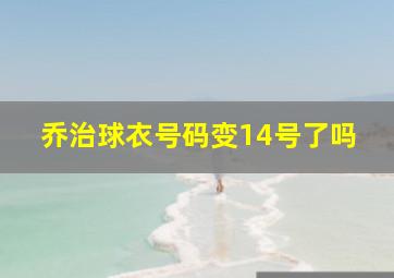 乔治球衣号码变14号了吗