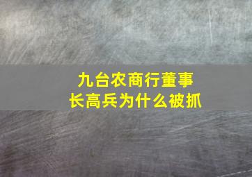 九台农商行董事长高兵为什么被抓