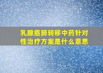 乳腺癌肺转移中药针对性治疗方案是什么意思