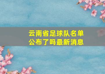 云南省足球队名单公布了吗最新消息