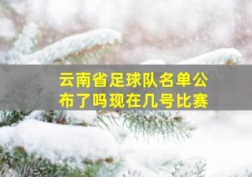 云南省足球队名单公布了吗现在几号比赛