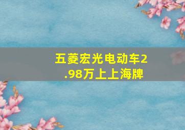 五菱宏光电动车2.98万上上海牌