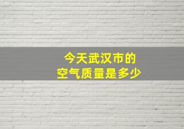 今天武汉市的空气质量是多少