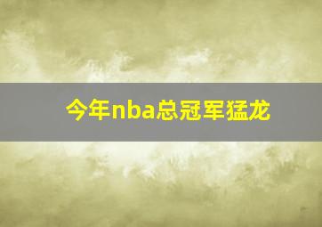 今年nba总冠军猛龙